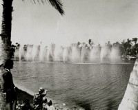 Die Historie von BMI International Die Historie von BMI International